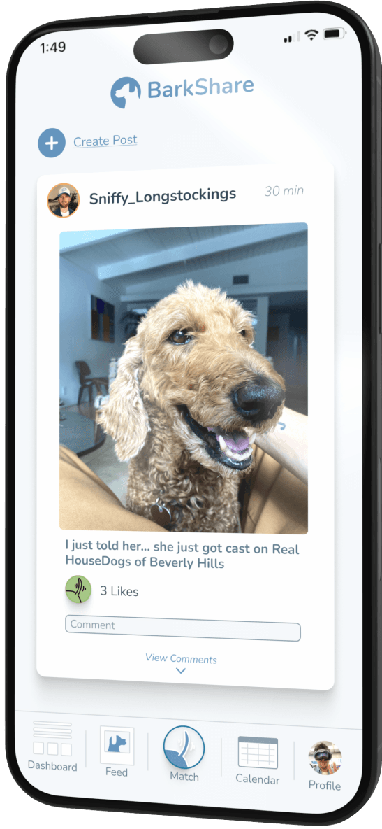 Social Feed Feature BarkShare