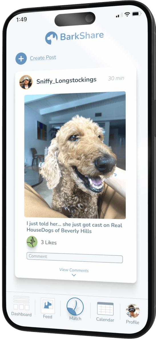 BarkShare dog-only social feed